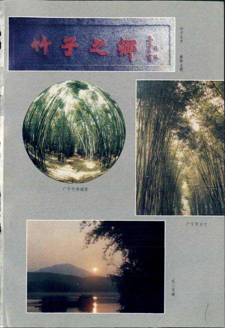 《广宁竹志》.pdf_广东省志预览图3