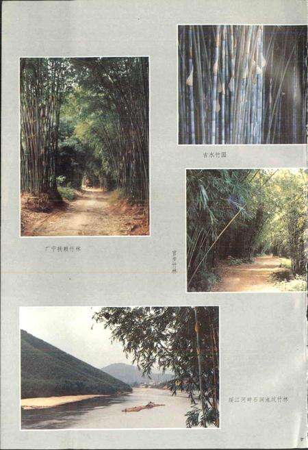 《广宁竹志》.pdf_广东省志预览图4