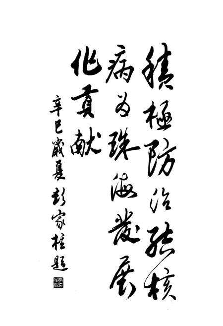 《珠海防痨史志》.pdf_广东省志预览图2