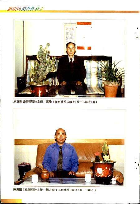 《惠阳供销合作社》.pdf_广东省志预览图5