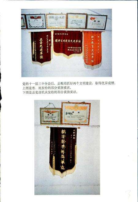 《新兴县粮食志》.pdf_广东省志预览图5