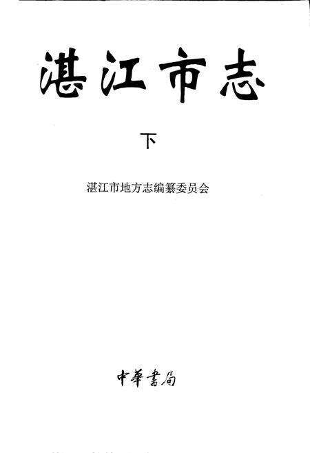 《湛江市志 下》.pdf_广东省志预览图1