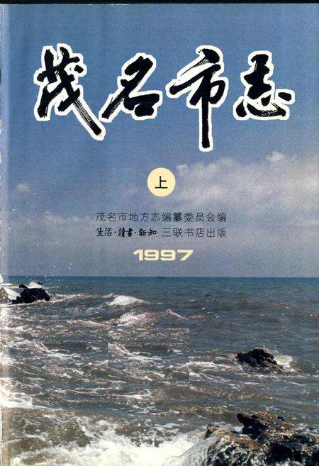 《茂名市志 上》.pdf_广东省志预览图2