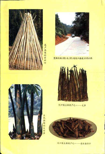 《坑口镇志》.pdf_广东省志预览图3