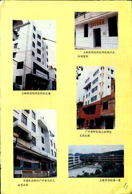 《坑口镇志》.pdf_广东省志预览图4