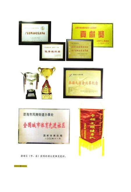 《《汕头市澄海区体育志》》.pdf_广东省志预览图3