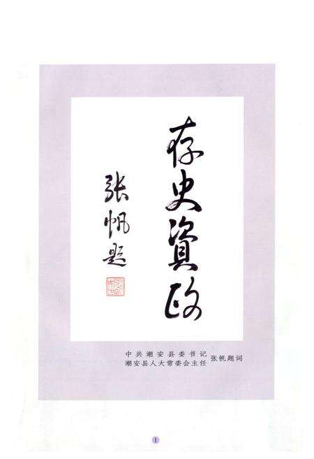 《潮安县志(1992~2005)》.pdf_广东省志预览图2