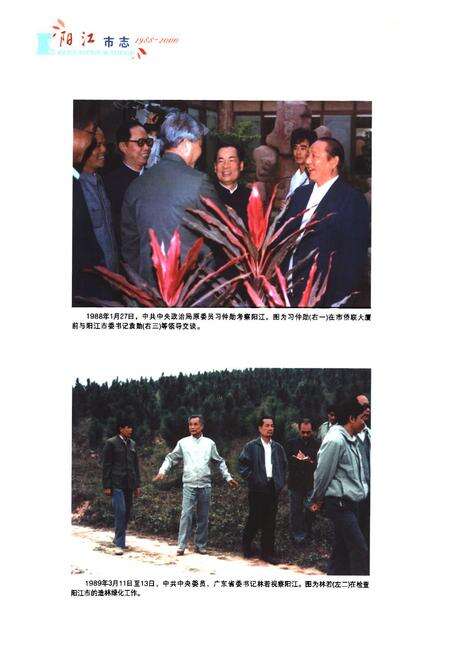 《阳江市志(1988-2000)上册》.pdf_广东省志预览图4