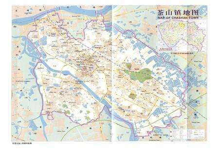 《东莞市茶山镇志》.pdf_广东省志预览图3