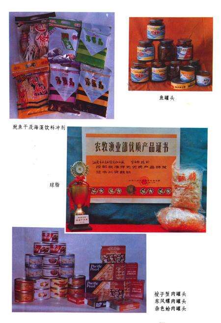 《《汕头水库志》》.pdf_广东省志预览图4