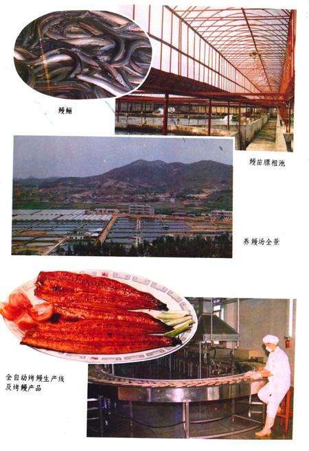 《《汕头水库志》》.pdf_广东省志预览图5