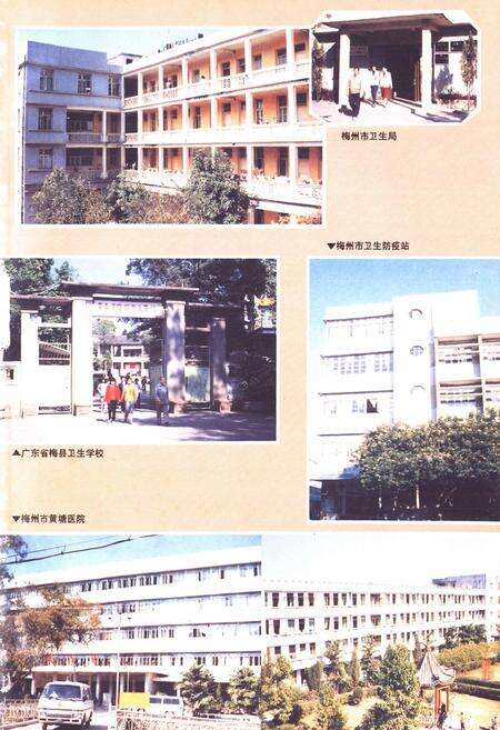 《梅州卫生志》.pdf_广东省志预览图5