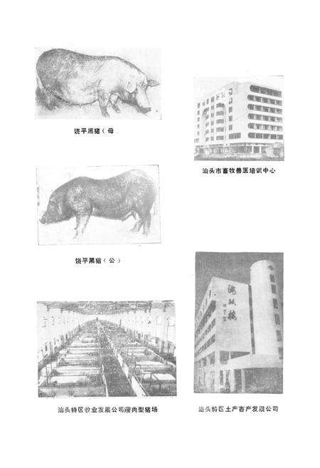 《汕头畜牧志》.pdf_广东省志预览图5