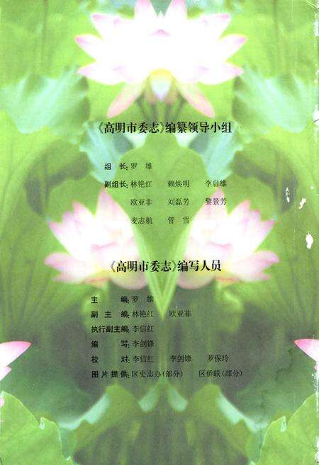 《高明市委志(1981-2002)》.pdf_广东省志预览图2