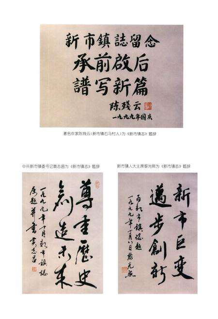 《广州市白云区新市镇志》.pdf_广东省志预览图4