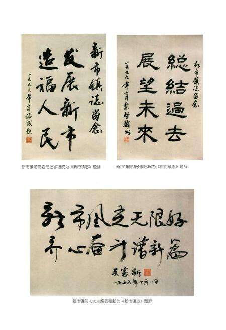 《广州市白云区新市镇志》.pdf_广东省志预览图5