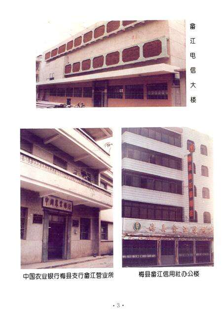 《梅县畲江镇志》.pdf_广东省志预览图5