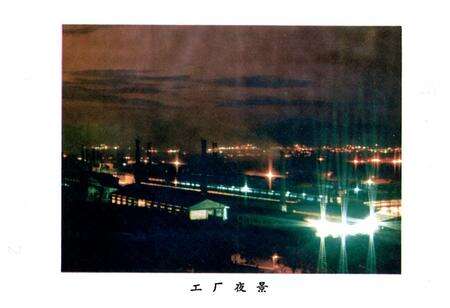 《大嶺冶炼厂志 第一卷(1970-1985)》.pdf_广东省志预览图2