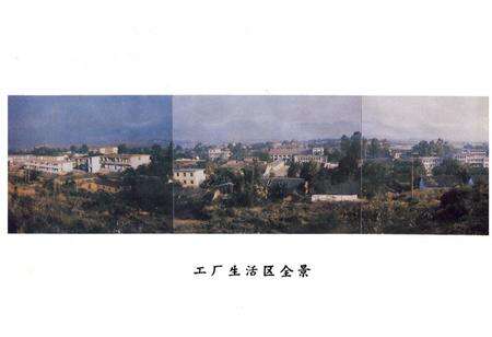 《大嶺冶炼厂志 第一卷(1970-1985)》.pdf_广东省志预览图3