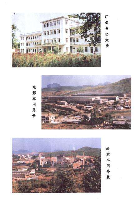 《大嶺冶炼厂志 第一卷(1970-1985)》.pdf_广东省志预览图5