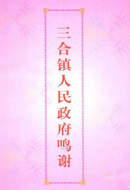 《三合镇志》.pdf_广东省志预览图2