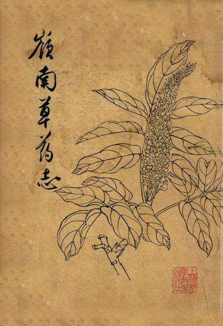 《嶺南草药志》.pdf_广东省志缩略图