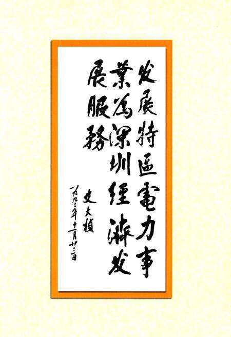 《深圳电力工业志(1935-2000年)》.pdf_广东省志预览图4