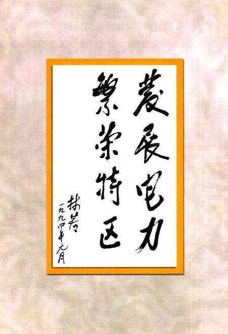 《深圳电力工业志(1935-2000年)》.pdf_广东省志预览图5