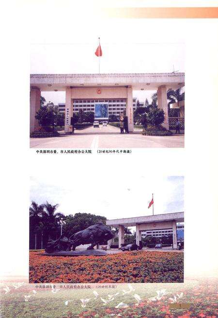 《深圳市志政党政权卷》.pdf_广东省志预览图4