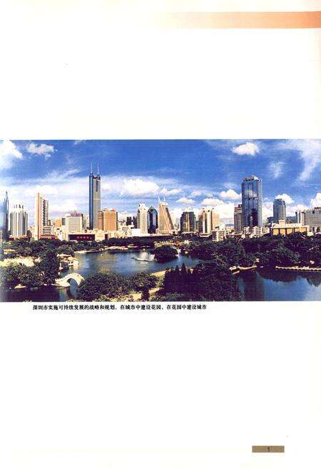 《深圳市志经济管理卷》.pdf_广东省志预览图2