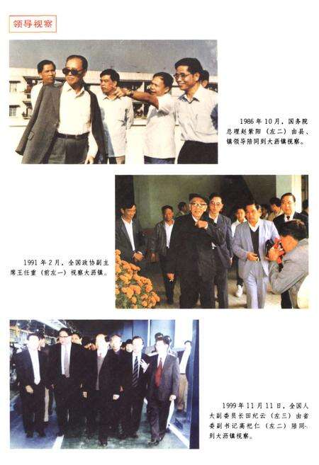 《南海市大沥街道志》.pdf_广东省志预览图4