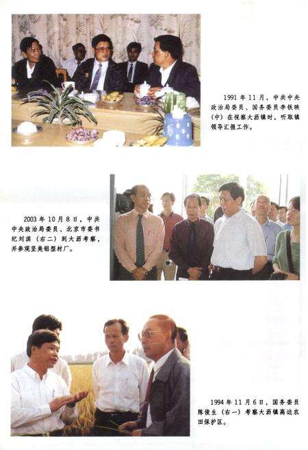 《南海市大沥街道志》.pdf_广东省志预览图5