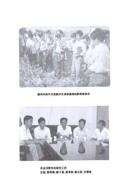 《博罗县农业志》.pdf_广东省志预览图2