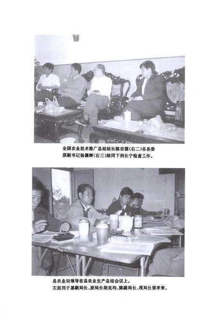 《博罗县农业志》.pdf_广东省志预览图3