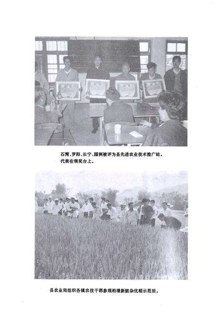 《博罗县农业志》.pdf_广东省志预览图4