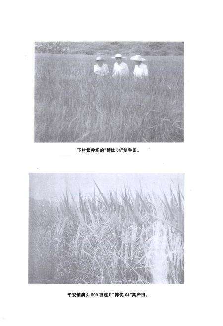 《博罗县农业志》.pdf_广东省志预览图5