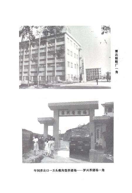 《博罗县外经贸志》.pdf_广东省志预览图3