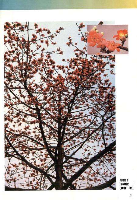 《广东中药志(第一卷)》.pdf_广东省志预览图2