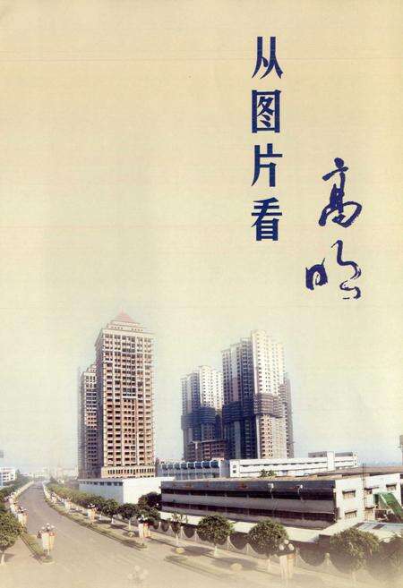 《高明市志(1981-2002)》.pdf_广东省志预览图2