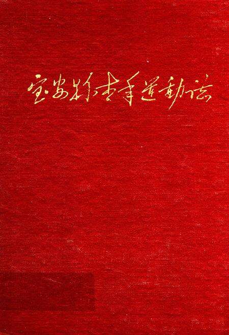 《宝安县青年运动志》.pdf_广东省志缩略图