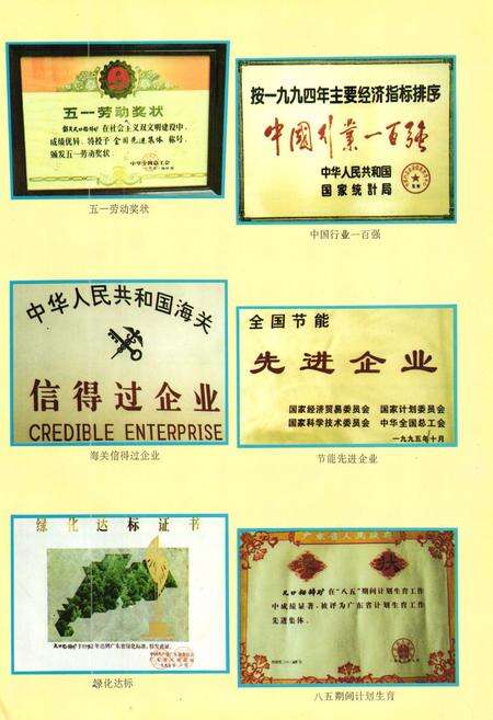 《凡口铅锌矿志第三卷(1991-1995)》.pdf_广东省志预览图4