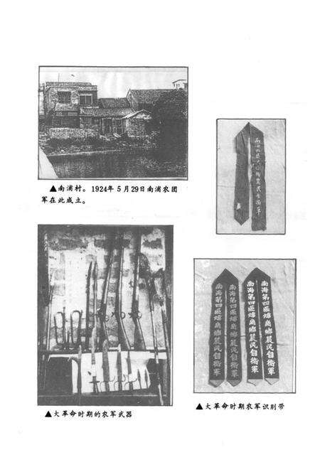 《南海县农民组织志》.pdf_广东省志预览图3