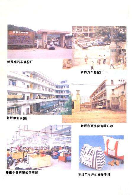 《新桥镇志》.pdf_广东省志预览图2