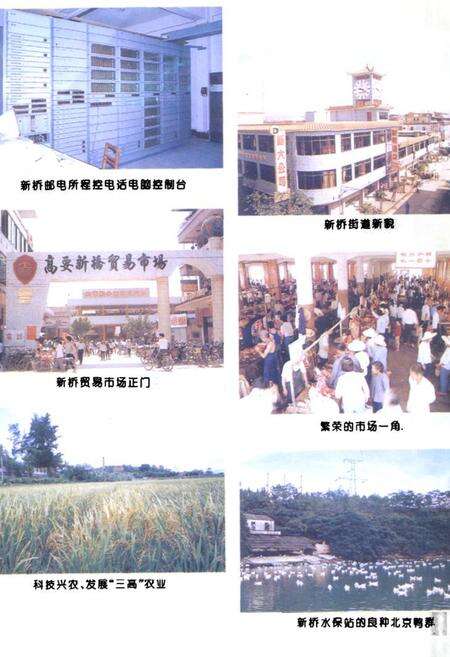 《新桥镇志》.pdf_广东省志预览图4