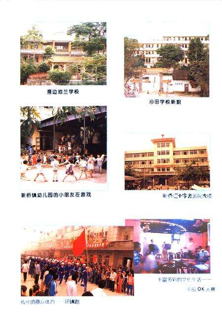 《新桥镇志》.pdf_广东省志预览图5