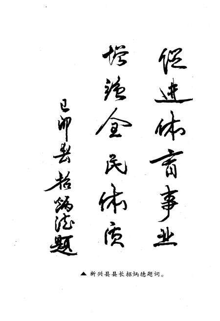 《新兴县体育志专志》.pdf_广东省志预览图2