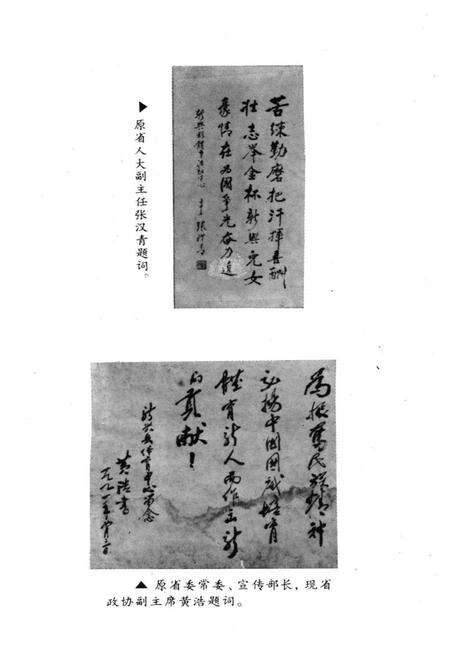 《新兴县体育志专志》.pdf_广东省志预览图3