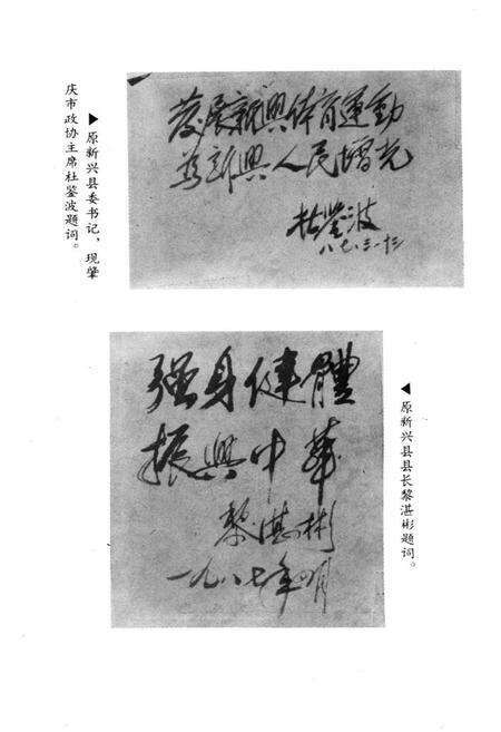 《新兴县体育志专志》.pdf_广东省志预览图4