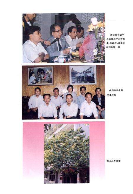 《番禺县商业志(续篇)》.pdf_广东省志预览图3