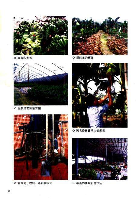 《麻涌民俗志岭南水乡社会研究》.pdf_广东省志预览图4